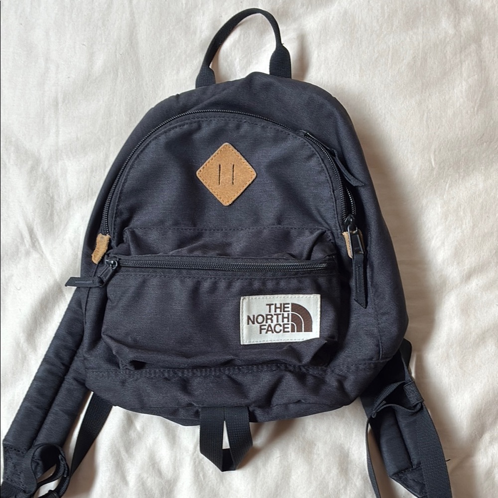The North Face Black Mini Backpack with Adjustable Straps and Casual Style